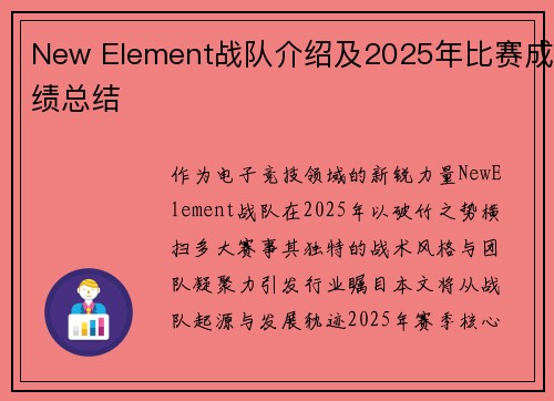 New Element战队介绍及2025年比赛成绩总结